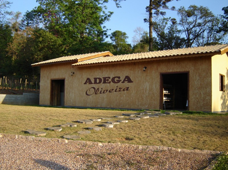 Adega Oliveira 4